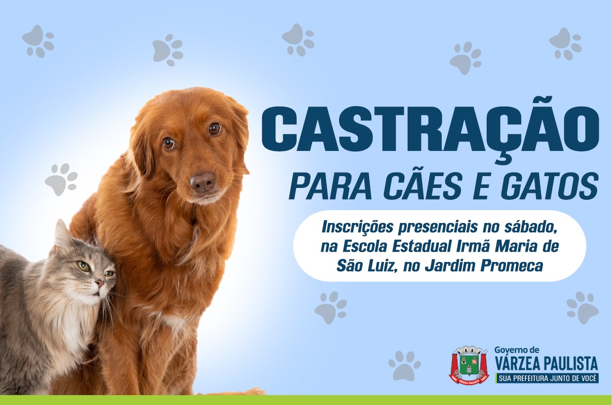 Faça a inscrição do seu animal de estimação para castração gratuita