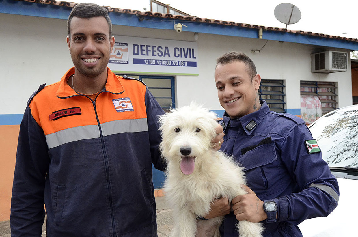 Cachorrinha é resgatada de bueiro em Várzea Paulista