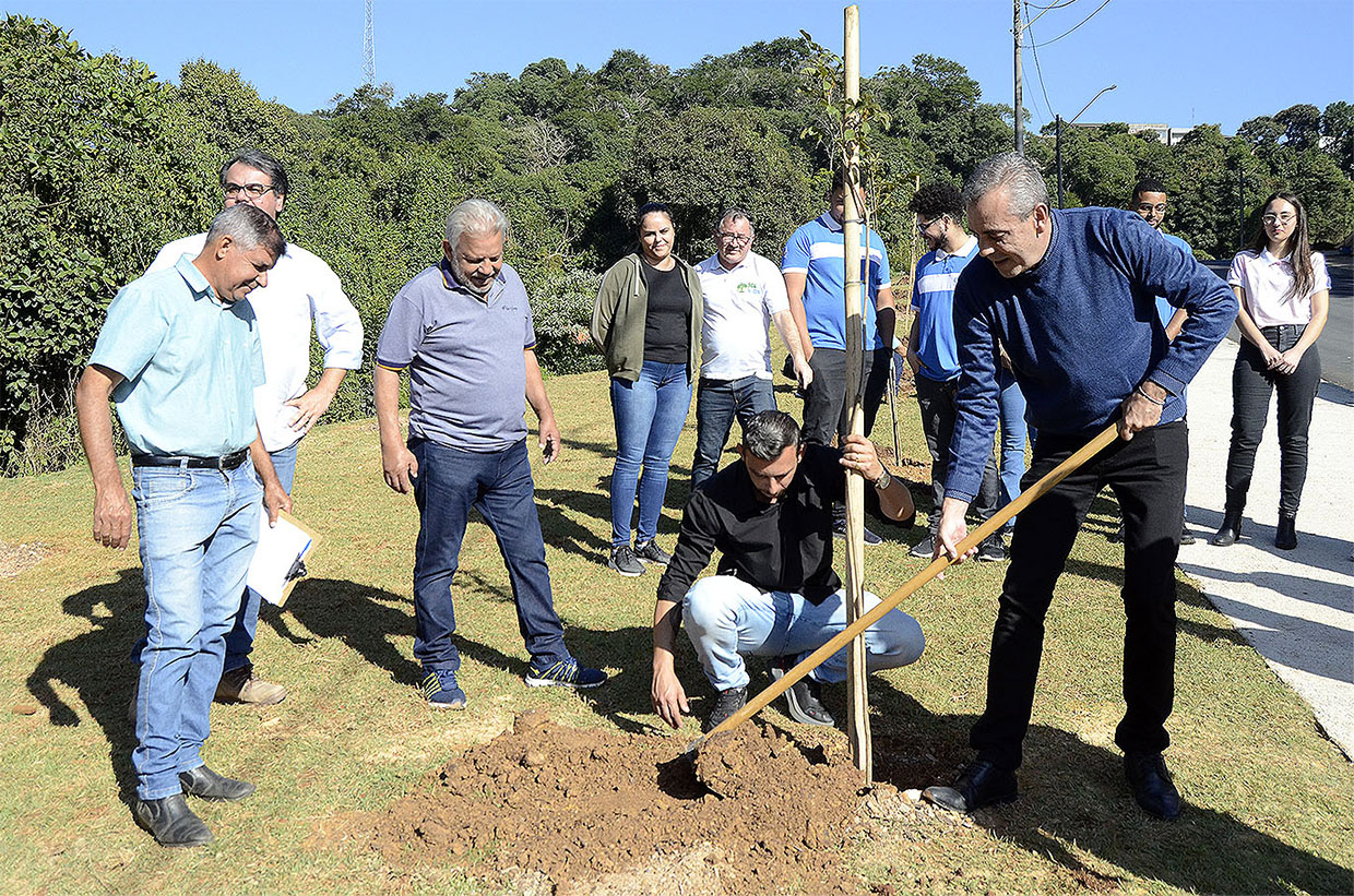 Semana do Meio Ambiente promove plantio de árvores nativas no Parque do Jardim Bertioga