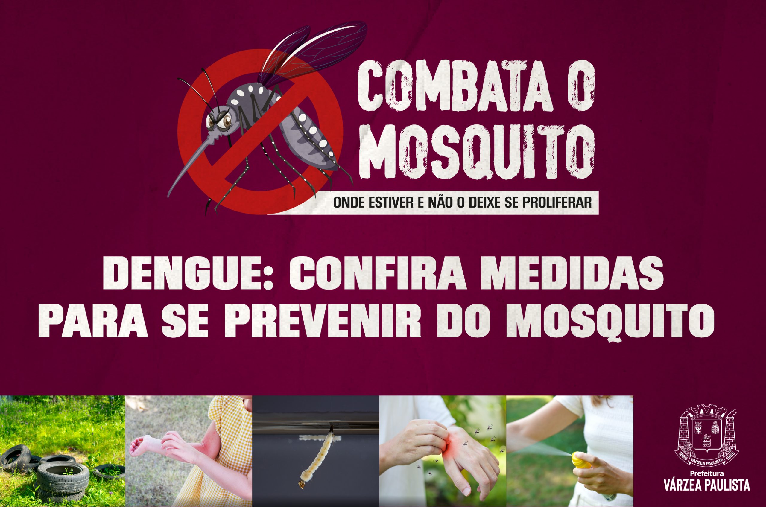 Dengue: confira medidas para se prevenir do mosquito