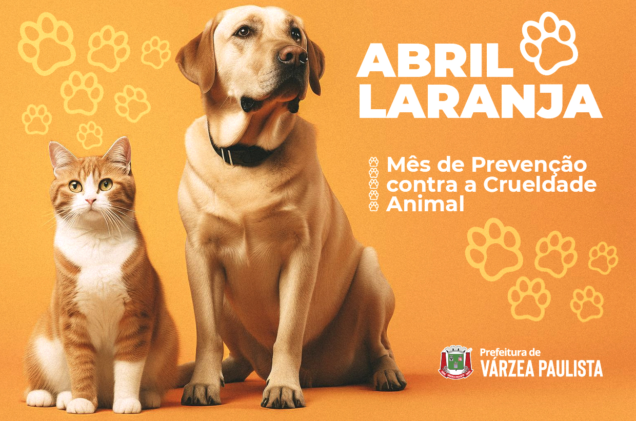Abril Laranja: Mês de Prevenção contra a Crueldade Animal